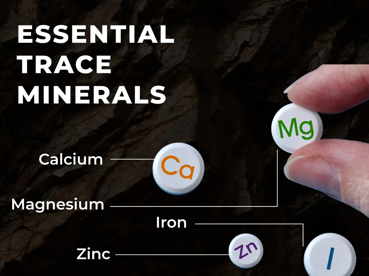 Shilajit Resin A+ Mobile Banner 4
